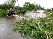 Tin tức trong ngày - Tháng 8, Việt Nam phải hứng chịu bao nhiêu cơn bão?