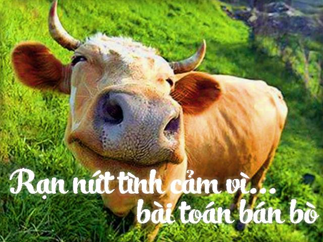 Mất bạn chỉ vì bài toán bán bò