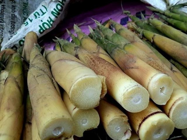 Sức khỏe đời sống - Chất cực độc trong măng tươi nhưng loại bỏ dễ dàng