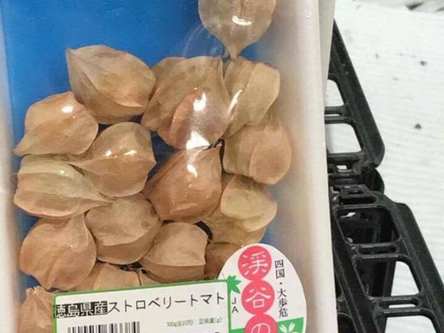 Thị trường - Tiêu dùng - Tầm bóp: Ở Việt Nam chỉ là quả dại, Nhật Bản bán 700.000 đồng/kg