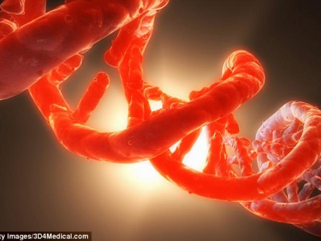 Thế giới - Loại siêu vũ khí khiến con người “khổ sở hơn cả cái chết”