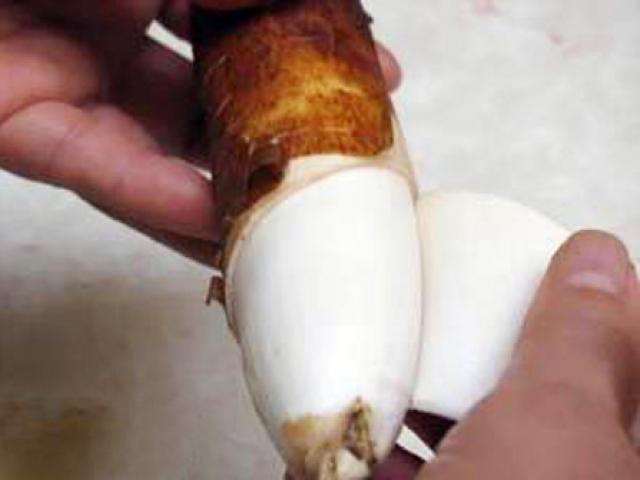 Sức khỏe đời sống - Thứ chất độc có trong củ sắn không phải ai cũng biết