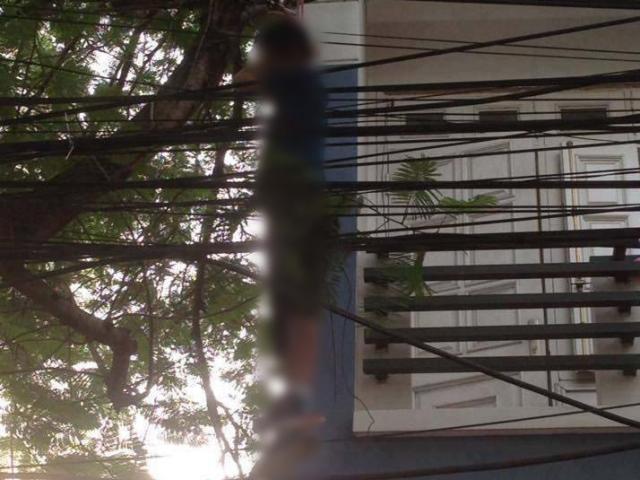 Tin tức trong ngày - Rợn người phát hiện thi thể nam lủng lẳng trên cây