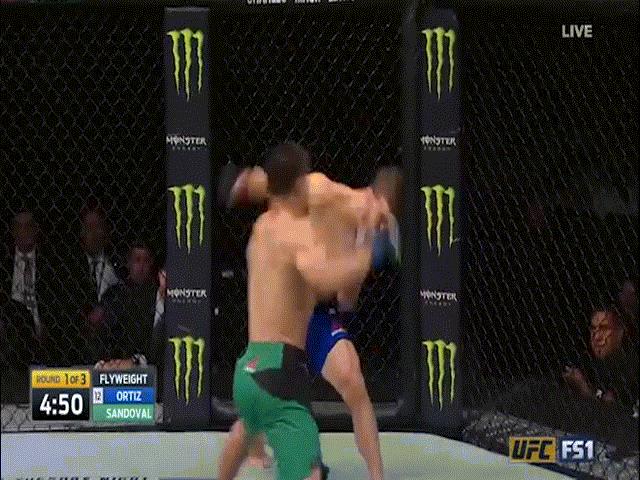 Thể thao - UFC: 15 giây 2 cú đấm, thế giới dưới chân võ sỹ hạng ruồi