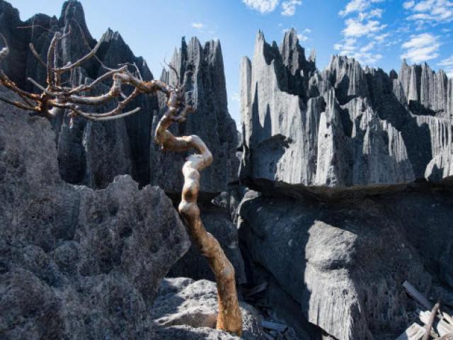 Du lịch - Kỳ quan rừng đá ít người có thể tới ở Madagascar