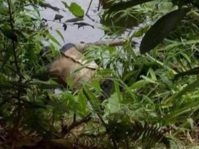 Tin tức trong ngày - Phát hiện nam thanh niên đội mũ bảo hiểm tử vong dưới ao làng