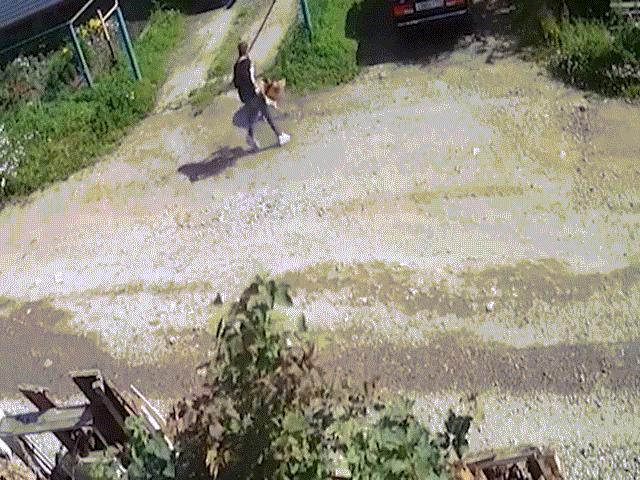 Thế giới - Nga: Chủ nhân bất lực nhìn chó giết chết đồng loại