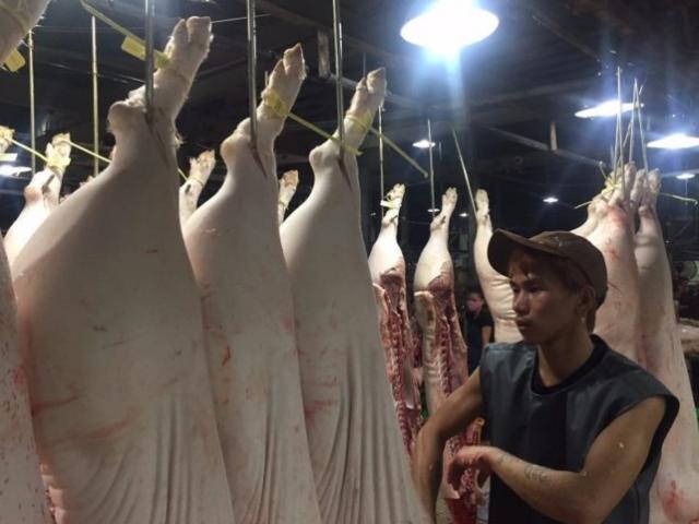 Thị trường - Tiêu dùng - Heo quá khổ lại hết đường 'chạy' qua Trung Quốc