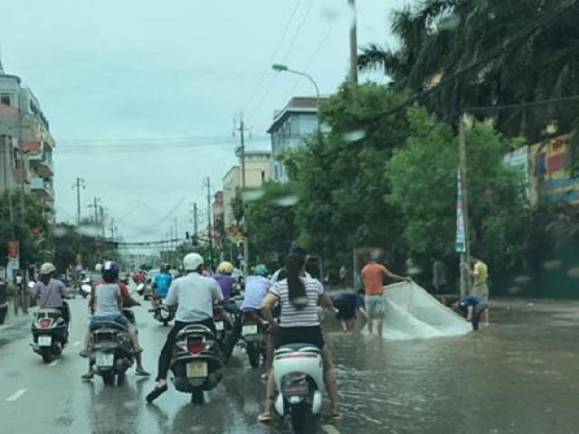 Tin tức trong ngày - Clip: Cá bơi lội tung tăng trên phố, dân đổ xô đi “quăng chài”
