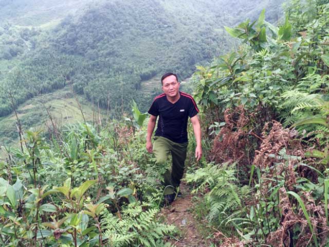 Tin tức trong ngày - Những cuộc tìm kiếm bí ẩn trên đỉnh Fansipan