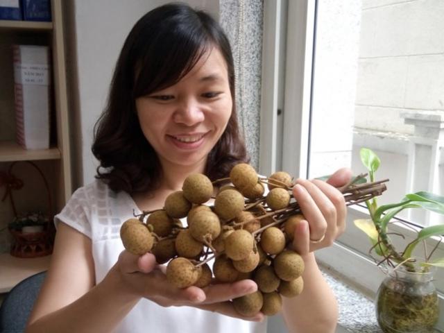 Thị trường - Tiêu dùng - Nhãn 'khủng' Tây Bắc bất ngờ xuất khẩu sang Mỹ