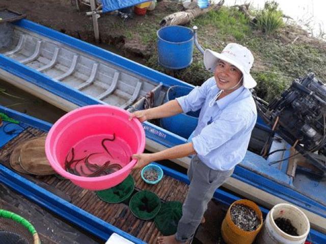 Thị trường - Tiêu dùng - Mùa lũ ở ĐBSCL: Kiếm 800.000 đ/ngày nhờ sản vật "trời cho"