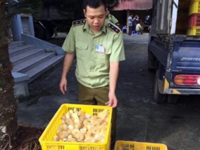 Chặn thực phẩm bẩn ở biên giới Lạng Sơn