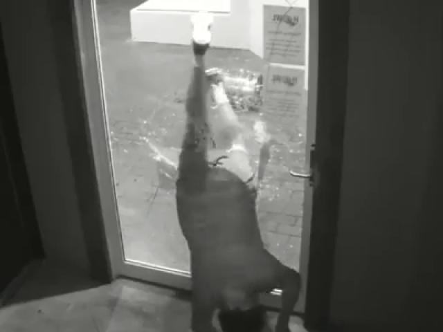 Video Clip Cười - Clip: Đau ruột với kẻ đột nhập "quên mang não"