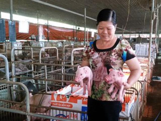 Thị trường - Tiêu dùng - Người phụ nữ kỳ lạ: Từ 2 con lợn, giờ thành đại tỷ phú "50 tỷ"