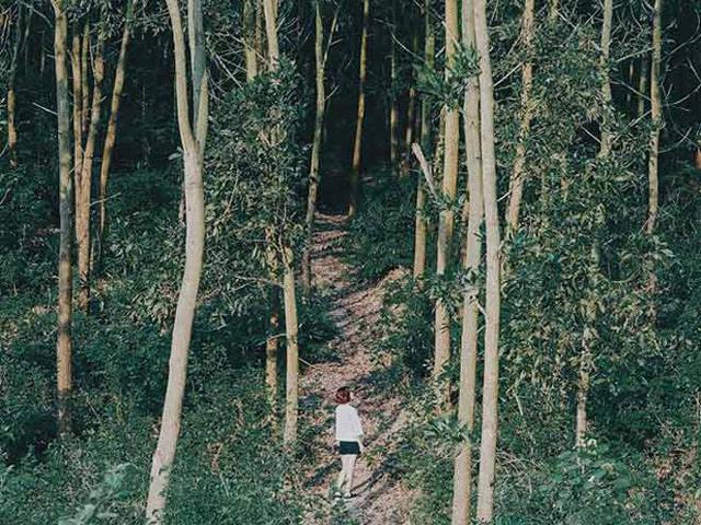 Du lịch - Nghỉ lễ 2/9, đưa nhau đi trốn ở "hoang đảo" xanh mướt chỉ cách Hà Nội 100km