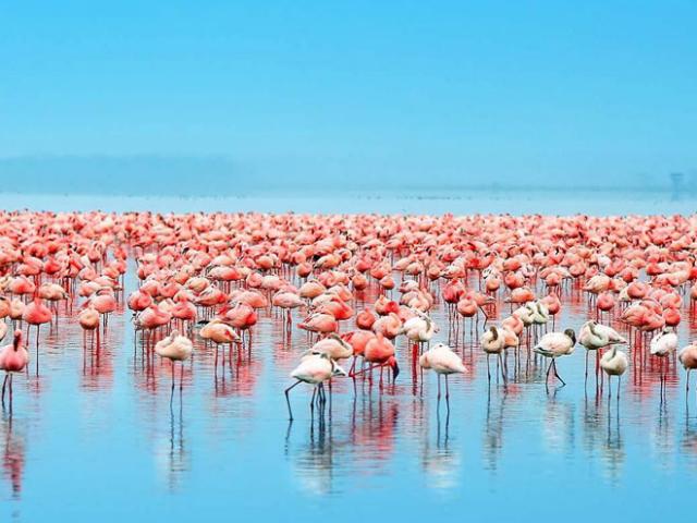 Du lịch - Sốc khi "lục địa đen trỗi dậy" chỉ đơn giản là nhờ Instagram