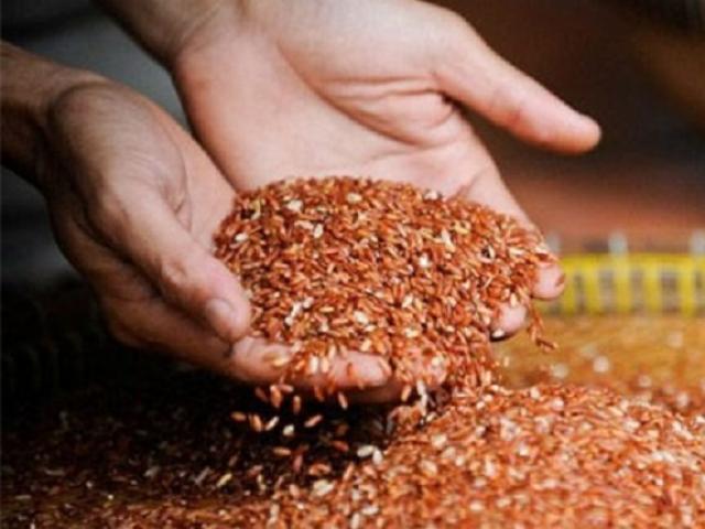 Sức khỏe đời sống - Sự thật chỉ ăn gạo lứt muối mè sẽ khỏi ung thư?