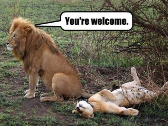 Tin vịt - Tin vịt: Muốn sống lâu phải 3 lần / tuần