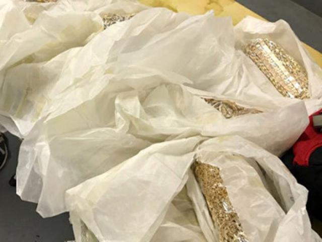 Pháp luật - Giấu 20kg vàng quanh người mang về Việt Nam