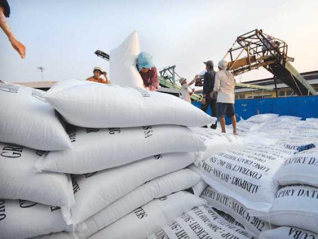 Thị trường - Tiêu dùng - Giá cà phê, cao su, điều... tăng cao, xuất khẩu nông sản "ghi điểm"