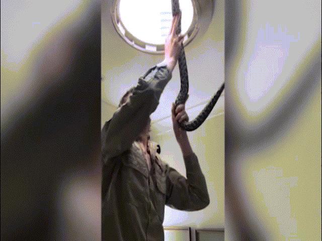 Phi thường - kỳ quặc - Vào buồng tắm, giật mình thấy "quái vật" trốn trong đèn