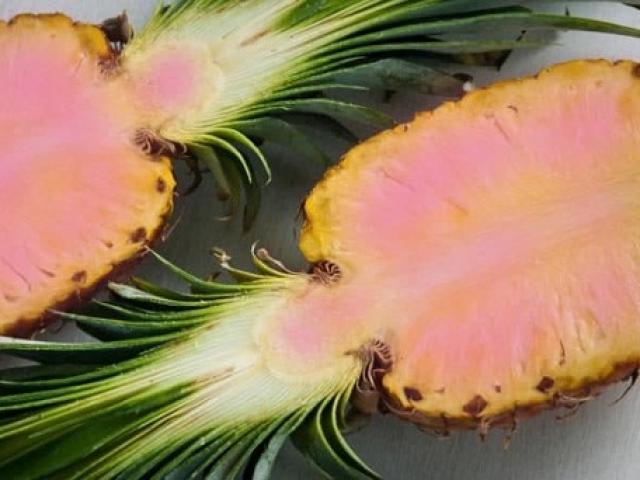 Thị trường - Tiêu dùng - Tận thấy trái dứa hồng từ ngoài vào trong khiến bà nội trợ "mê mệt"