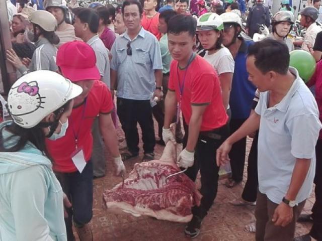 Thị trường - Tiêu dùng - Vì sao Thái Lan không phải giải cứu heo như Việt Nam?