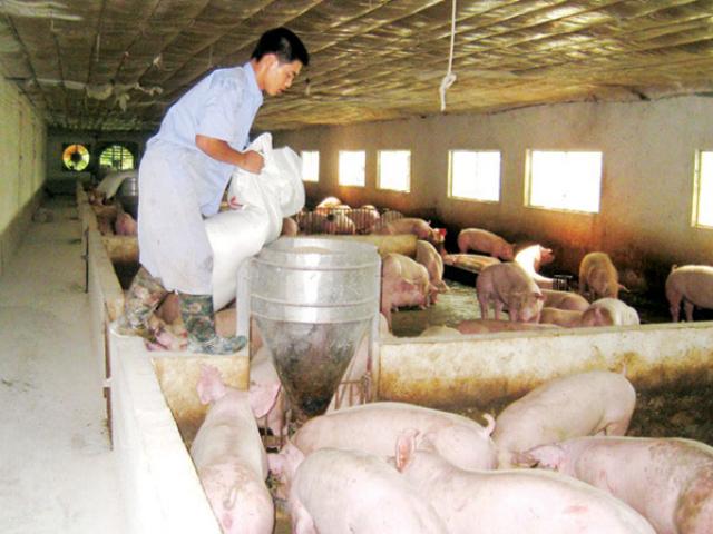 Thị trường - Tiêu dùng - Không thể xuất khẩu kiểu “lùa cả đàn” qua biên giới