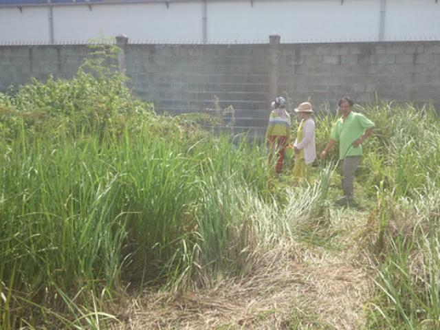 Tin tức trong ngày - Chuẩn bị nghỉ lễ, nam công nhân bỗng chết cháy