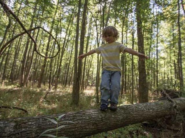Giáo dục - du học - Tuyệt chiêu giúp con nuôi dưỡng tư duy “không sợ hãi”