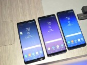 Dế sắp ra lò - Samsung Galaxy Note 8 phá lệ giao hàng sớm hơn