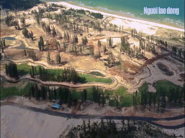 Tin tức trong ngày - Clip: Rừng phòng hộ Phú Yên bị phá làm sân golf