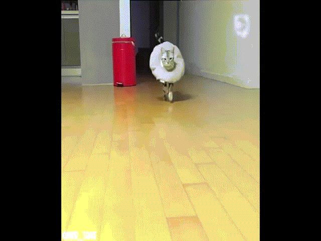 Video Clip Cười - Clip hài: Siêu mẫu dẹp qua cho "chụy"... diễn