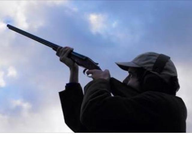 Thế giới - Hậu quả tai hại khi dân Mỹ vác súng bắn bão Irma