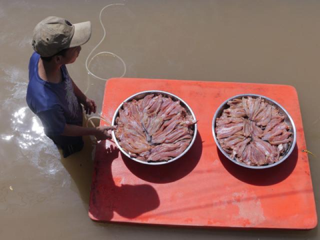 Thị trường - Tiêu dùng - “Chết thèm” với đặc sản khô 1 nắng mùa nước nổi