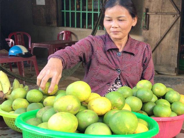 Thị trường - Tiêu dùng - "Lộc rừng": Độc đáo trái hường vị ngon khó cưỡng chuẩn sạch 100%