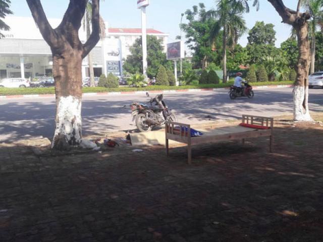 Tin tức trong ngày - Lo nhìn chim, cụ ông đâm vào gốc cây tử vong