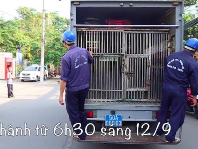 Tin tức trong ngày - Thực hư thông tin “xuất hiện xe bắt chó giả ở TP.HCM”