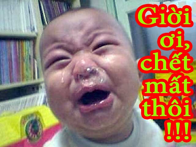 Truyện cười - Anh chàng dẻo mỏ, gái và con chó dữ