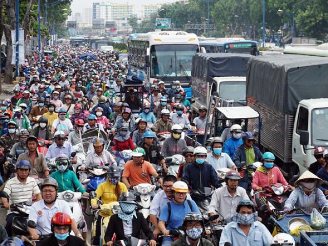 Tin tức trong ngày - Xóa sổ “chợ” sinh vật cảnh lớn nhất SG, giao thông tê liệt từ sáng đến trưa