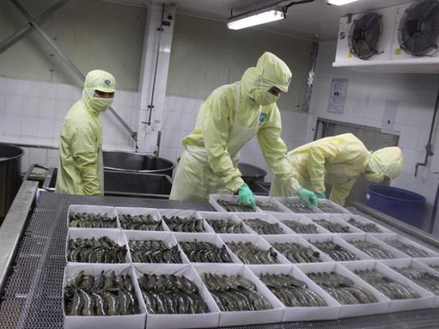 Thị trường - Tiêu dùng - Xuất khẩu tôm vào Mỹ giảm kể từ thời Tổng thống Donald Trump