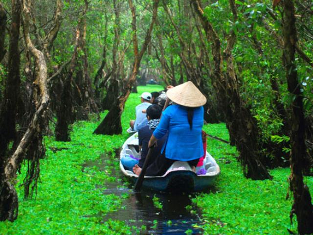 Mùa này về miền Tây ghé rừng tràm Trà Sư là nhất