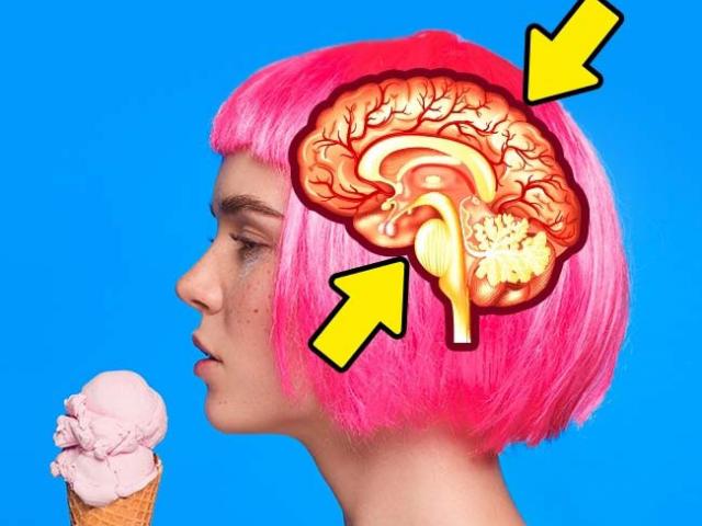 Sức khỏe đời sống - 13 điều những người thông minh không bao giờ làm hằng ngày