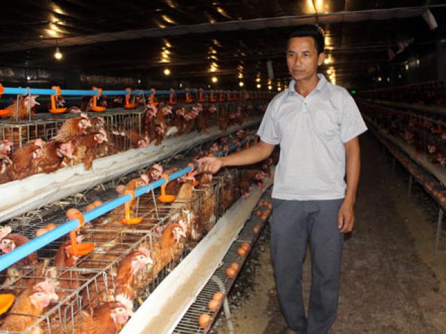 Thị trường - Tiêu dùng - “Nhạc" nào cũng nhảy, anh Yên quyết không chịu yên mà thu tiền tỷ