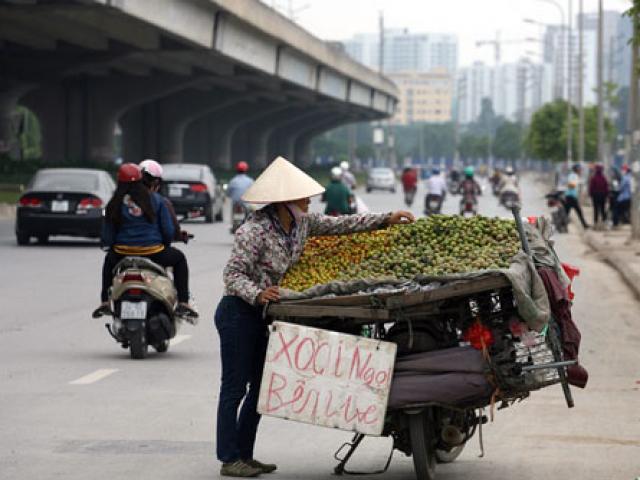 Hà Nội: Truy xuất nguồn gốc, dẹp buôn bán trái cây trên vỉa hè?