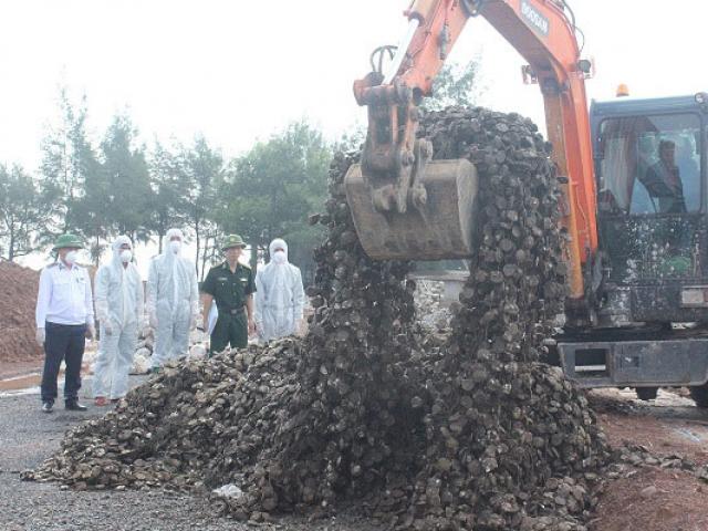 Thị trường - Tiêu dùng - Quảng Ninh: Tiêu hủy 10 tấn hàu giống nhập lậu từ Trung Quốc