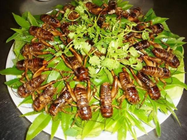 Ẩm thực - 8 đặc sản ngon "tuyệt cú mèo" nhất định phải thử khi tới Bình Phước