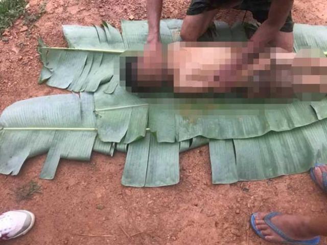 Tin tức trong ngày - Lao xuống hồ cứu bạn, 2 em nhỏ tử vong