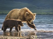 Du lịch - Mãn nhãn với ảnh thiên nhiên đẹp xuất sắc trên National Geographic